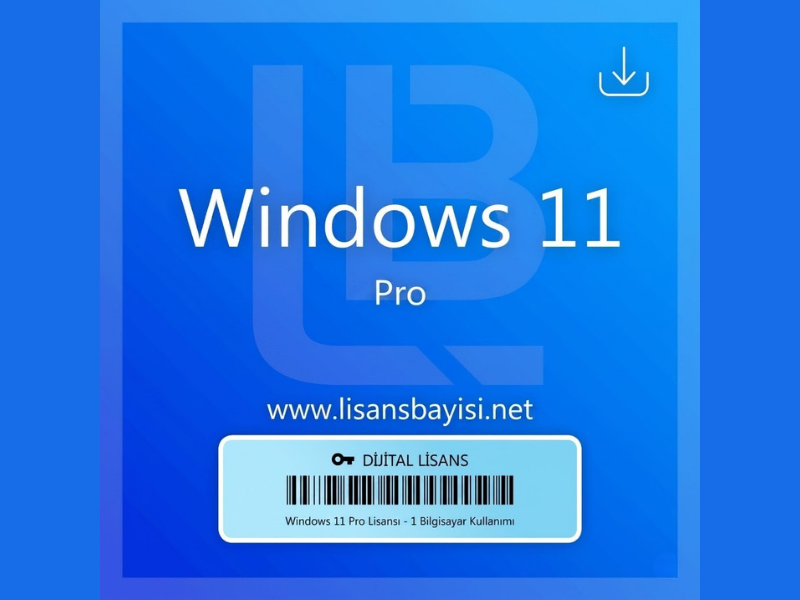 OEM Windows 11 Pro - Online (Anında Aktif Eder!)